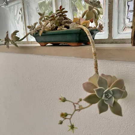 Appartamento Cozy Izola